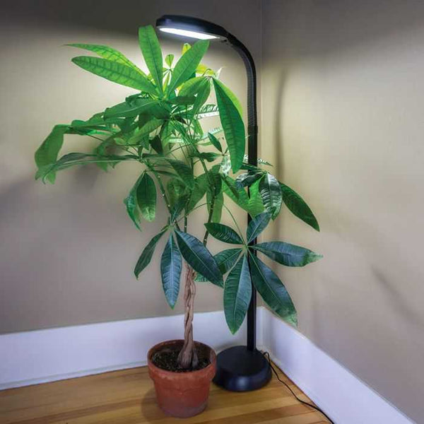 Agrobrite Standing LED Plant Lamp, 14W
