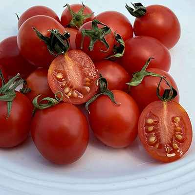 Principe Borghese tomato Seeds