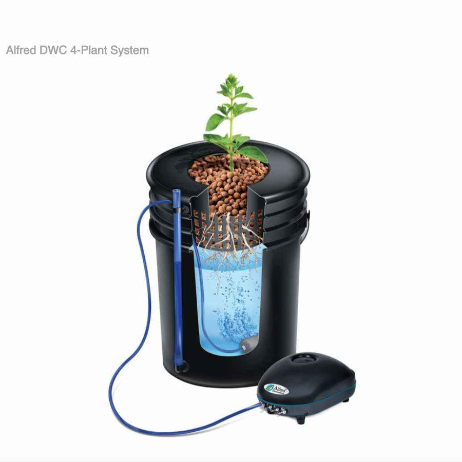 Alfred DWC 4-Plant System