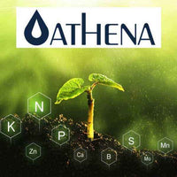 Athena Nutrient