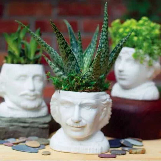 Fertile Minds Bust Ceramic Planters