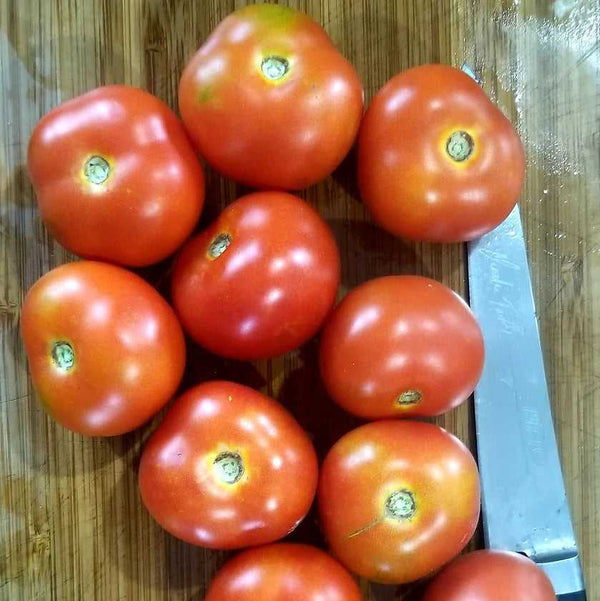 Frau Hager Klein Tomato Seeds