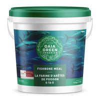 Gaïa Vert