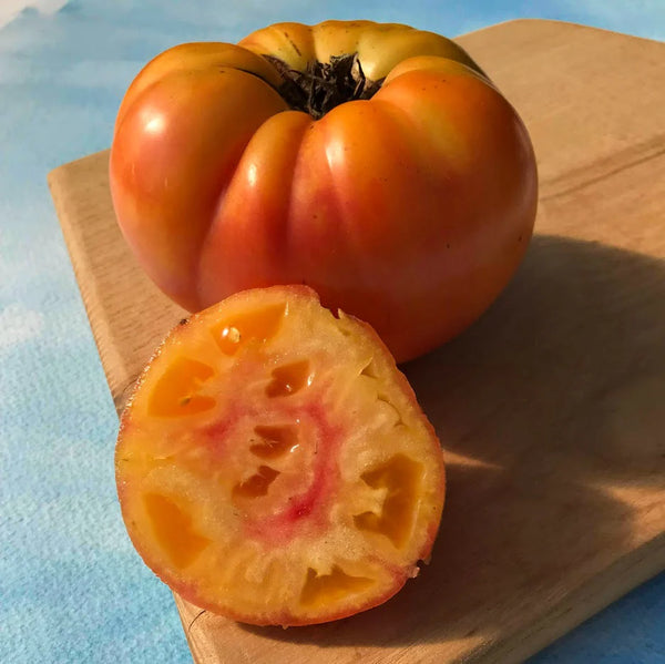 Hudson Valley Seed Co. | TOMATO |  Pineapple Tomato