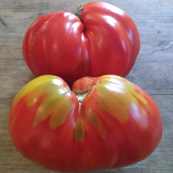 Hudson Valley Seed Co. | TOMATO |  Stone Ridge Tomato