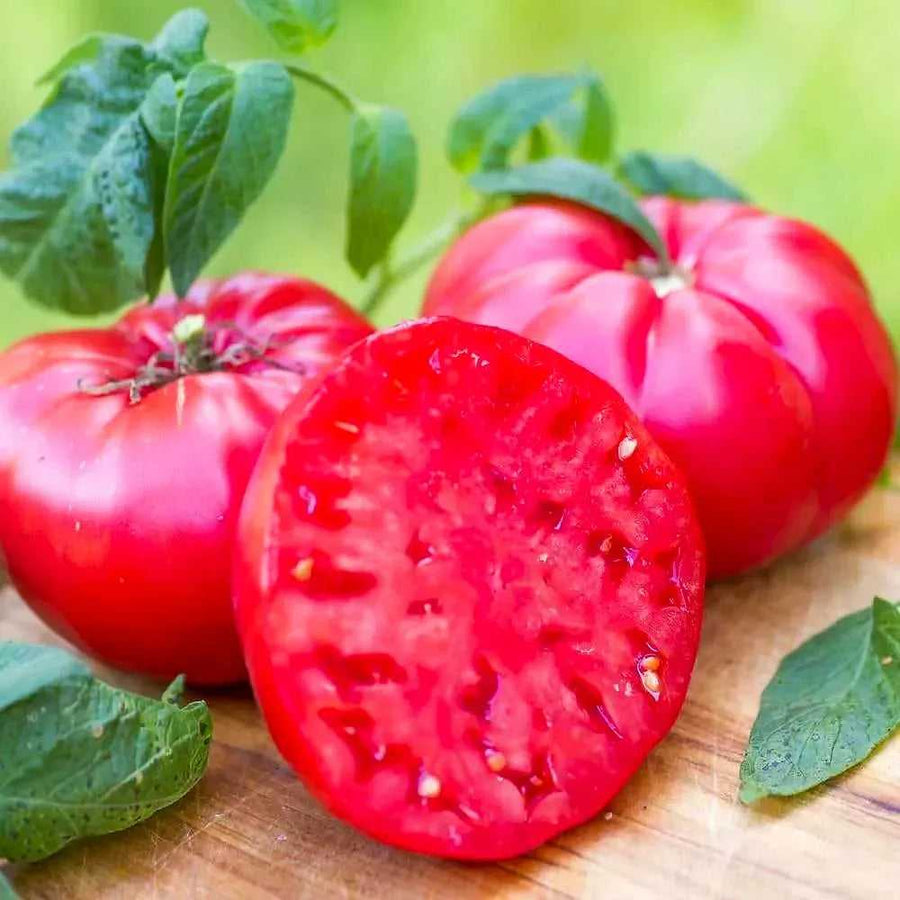 Hudson Valley Seeds | Tomato Seeds