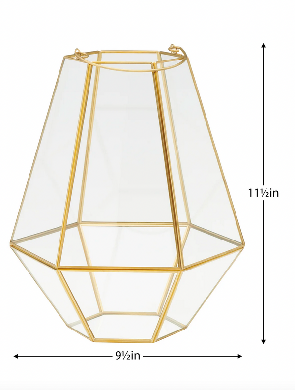 Oro Hexagon Glass Hurricane Terrarium with Handle