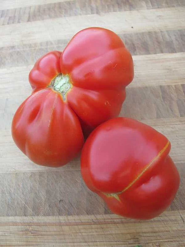 Goldmans Tomato Seeds