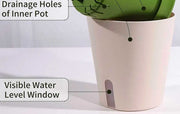 Hydroponic Water Level Planter