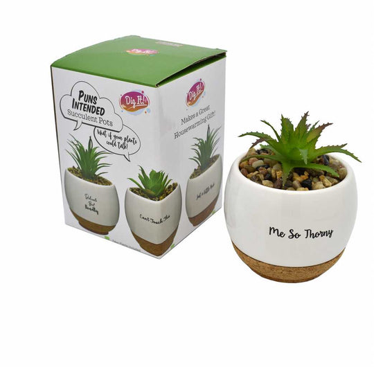 Me So Thorny | Faux Succulent Pots
