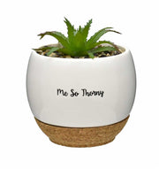 Me So Thorny | Faux Succulent Pots