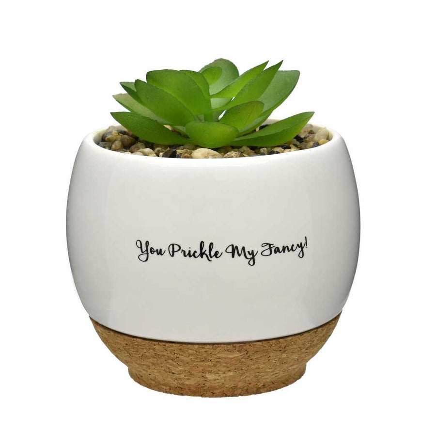 You Prickle My Fancy! | Faux Succulent Pots