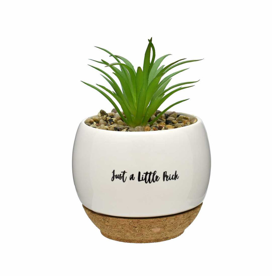 Just A Little Prick | Faux Succulent Pots