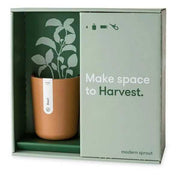 Mood Plant Gift Boxes Harvest