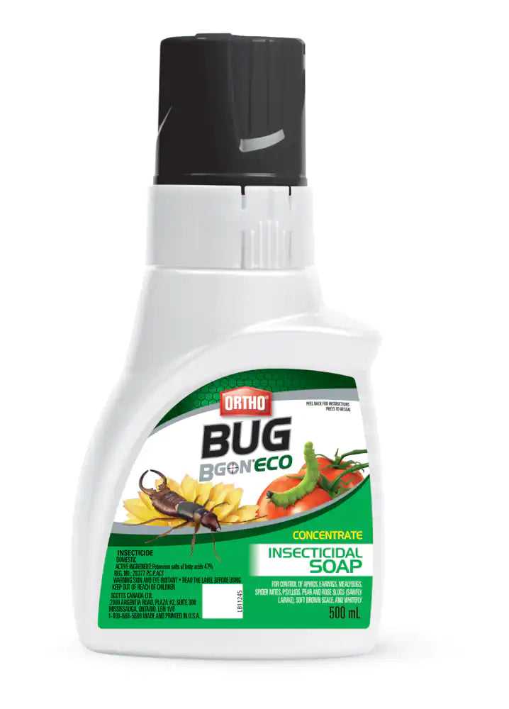 Ortho Bug BGonEco Soap Concentrate 500ml