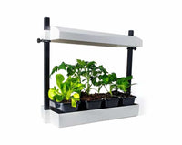 Sunblaster Micro T5 Grow Light Garden