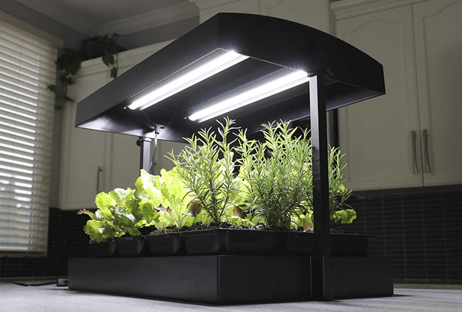 Sunblaster Micro T5 Grow Light Garden