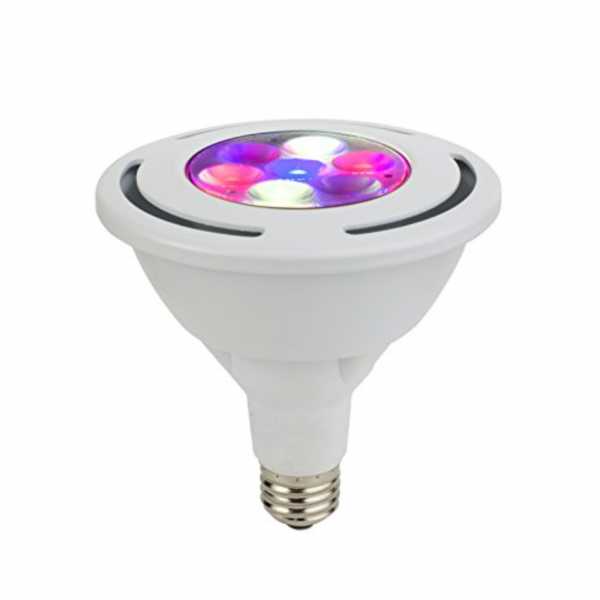 Zelion Par38 HL LED Bulb | 17W