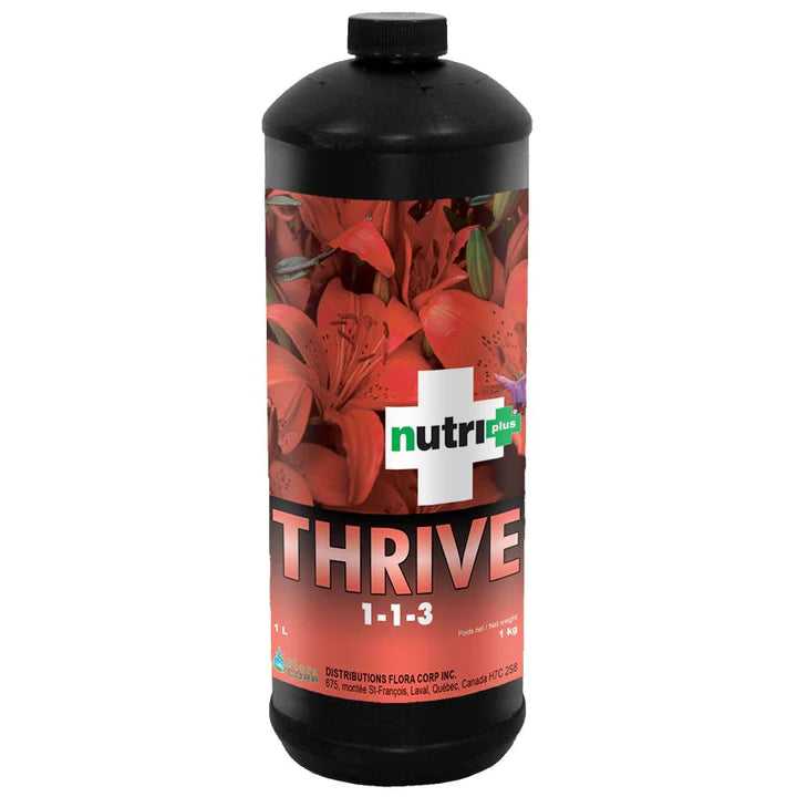 nutri+ THRIVE B1